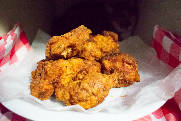 KFC-fried-chicken-with-cat